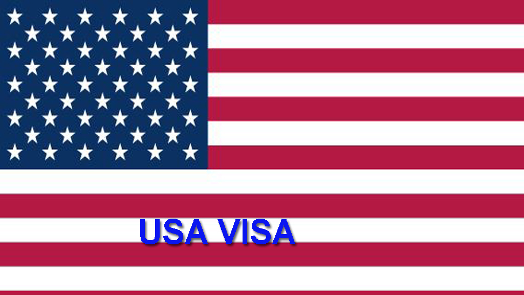 USA Work Visa From South Africa 2024 Guide