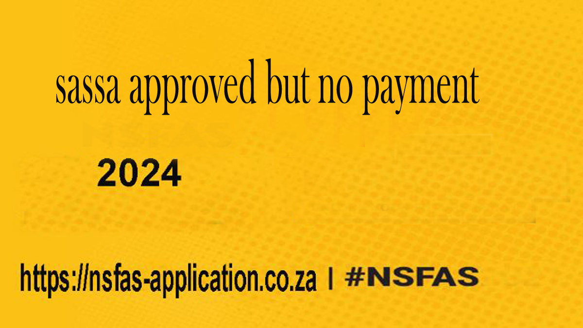 Sassa Approved But No Payment
